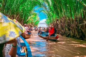 Chèo xuồng trong rạch dừa nước. Hai hàng dừa nước rợp bóng xanh tươi.