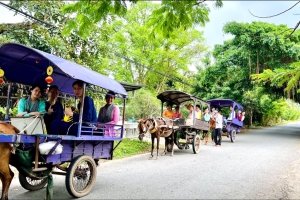 Đi xe ngựa trên đường làng. Ngắm nhìn khung cảnh làng quê mộc mạc giản dị.
